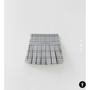 Zara Plaid Skirt